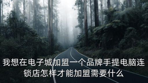 我想在電子城加盟一個品牌手提電腦連鎖店怎樣才能加盟需要什么