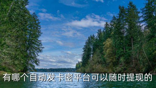 有哪個(gè)自動(dòng)發(fā)卡密平臺(tái)可以隨時(shí)提現(xiàn)的
