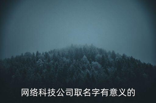 網(wǎng)絡(luò)科技公司取名字有意義的