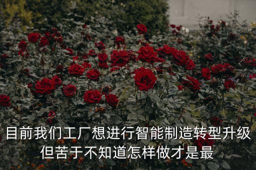 目前我們工廠想進行智能制造轉(zhuǎn)型升級但苦于不知道怎樣做才是最