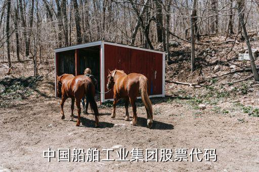 中船重工股票碼，中國船舶工業(yè)集團(tuán)股票代碼