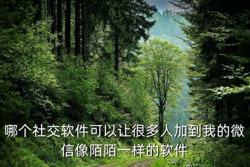 哪個社交軟件可以讓很多人加到我的微信像陌陌一樣的軟件