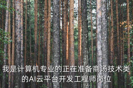我是計(jì)算機(jī)專業(yè)的正在準(zhǔn)備商湯技術(shù)類的AI云平臺(tái)開發(fā)工程師崗位