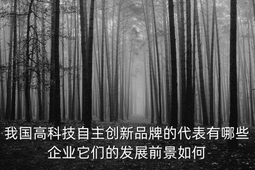 2022年十大科技創(chuàng)新企業(yè)，我國(guó)高科技自主創(chuàng)新品牌的代表有哪些企業(yè)它們的發(fā)展前景如何