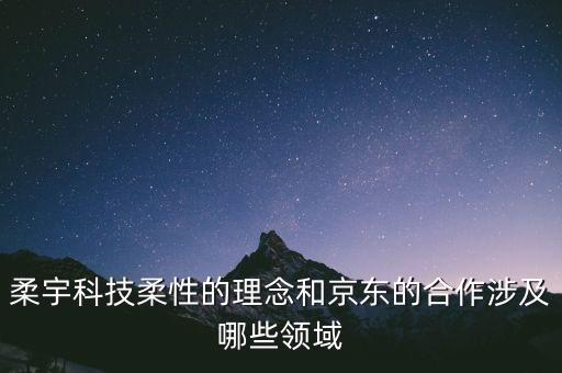 柔宇科技柔性的理念和京東的合作涉及哪些領(lǐng)域