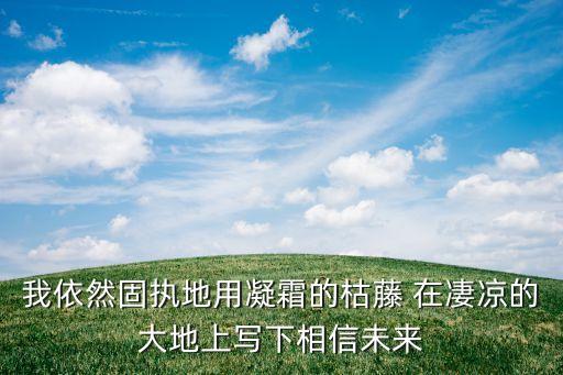 我依然固執(zhí)地用凝霜的枯藤 在凄涼的大地上寫下相信未來