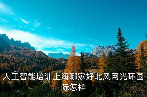人工智能培訓(xùn)上海哪家好北風(fēng)網(wǎng)光環(huán)國際怎樣