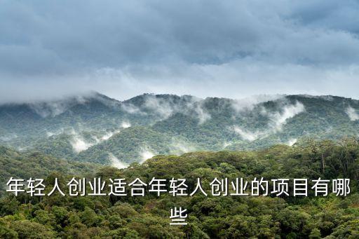 年輕人創(chuàng)業(yè)適合年輕人創(chuàng)業(yè)的項目有哪些