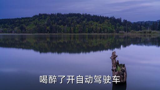 喝醉了開自動(dòng)駕駛，請(qǐng)聽題喝酒開特斯拉 使用自動(dòng)駕駛功能算酒駕嗎