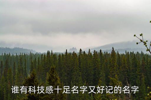 誰(shuí)有科技感十足名字又好記的名字