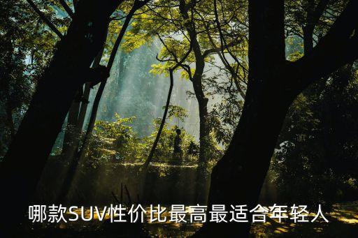 科技狂潮SUV，哪款SUV性價(jià)比最高最適合年輕人