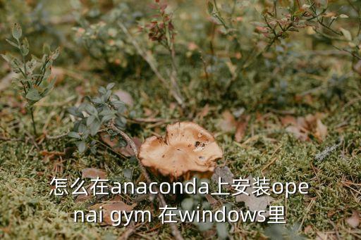 怎么在anaconda上安裝openai gym 在windows里