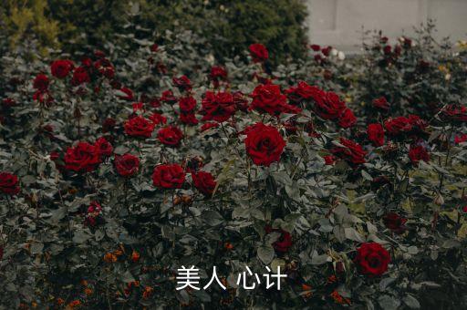 美人 心計(jì)