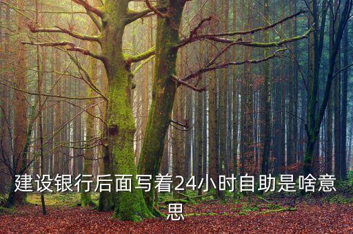 24小時(shí)低價(jià)自助下單，現(xiàn)在有什么比較便宜安全的順風(fēng)車或者拼車軟件24小時(shí)制的