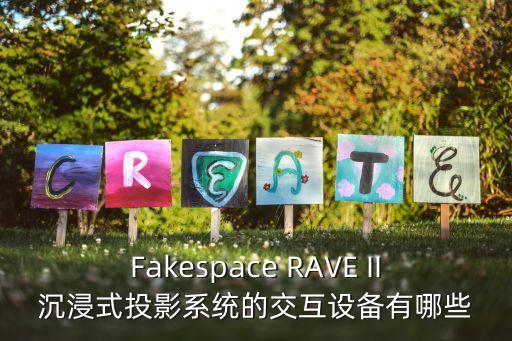 Fakespace RAVE II沉浸式投影系統的交互設備有哪些