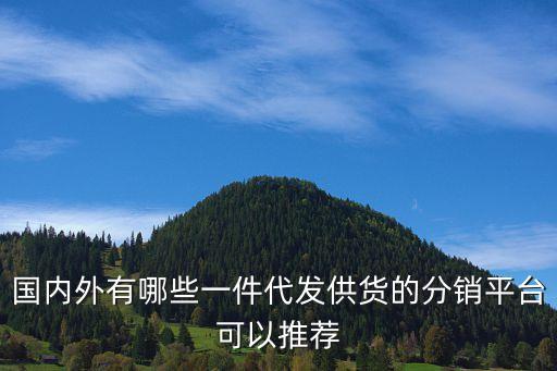 免費貨源一件代發(fā)軟件，國內(nèi)外有哪些一件代發(fā)供貨的分銷平臺可以推薦