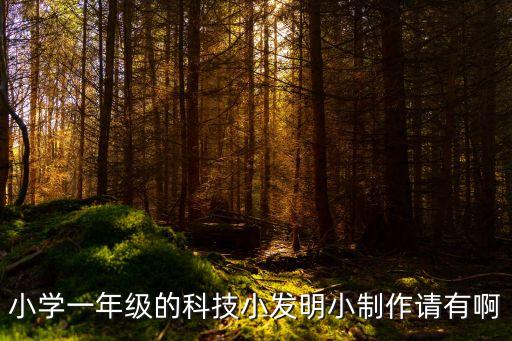 小學一年級的科技小發(fā)明小制作請有啊