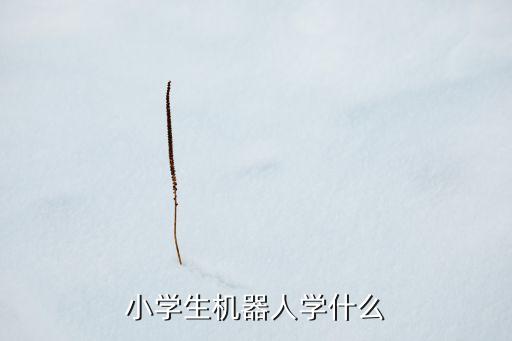 小學生機器人學什么