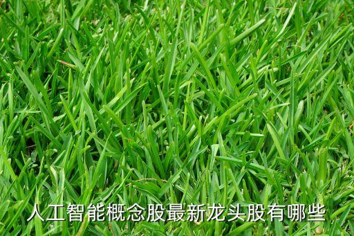 人工智能概念股最新龍頭股有哪些
