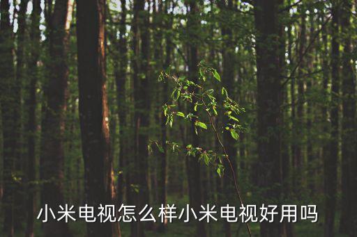 小米電視怎么樣小米電視好用嗎