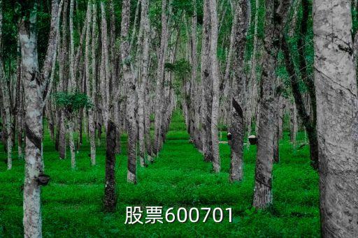 股票600701