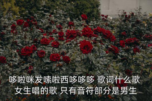 哆來咪演唱，哆啦咪發(fā)嗦啦西哆哆哆 歌詞什么歌 女生唱的歌 只有音符部分是男生