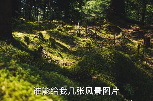 誰能給我?guī)讖堬L景圖片
