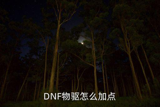 DNF物驅(qū)怎么加點
