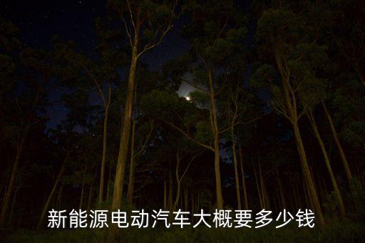 未來新能源車價格多少，新能源電動汽車大概要多少錢