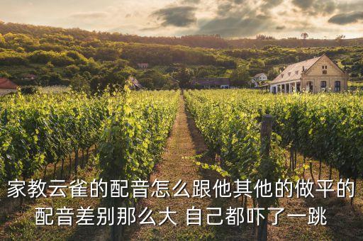 家教云雀的配音怎么跟他其他的做平的配音差別那么大 自己都嚇了一跳