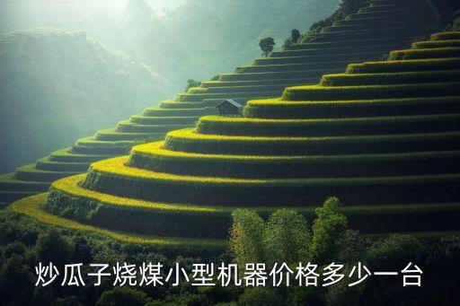 炒瓜子燒煤小型機(jī)器價(jià)格多少一臺(tái)