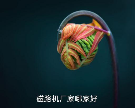 東莞精牌自動化設備有限公司，全自動排線端子機東莞哪家做的比較好