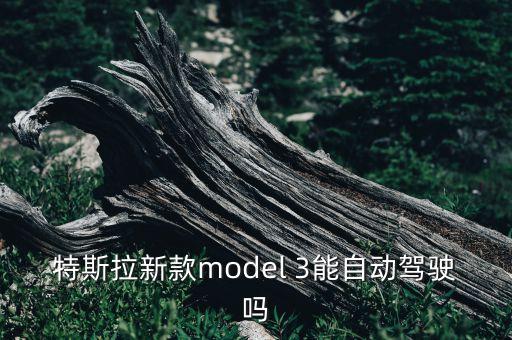 特斯拉新款model 3能自動(dòng)駕駛嗎