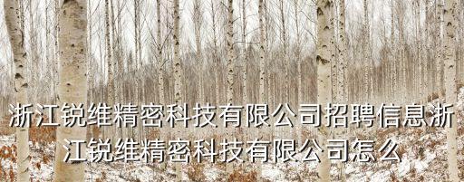 浙江銳維精密科技有限公司招聘信息浙江銳維精密科技有限公司怎么