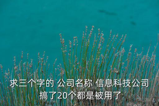 科技公司三字公司名，求三或個(gè)字的 公司名稱(chēng) 信息科技公司