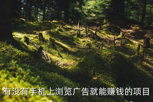 看廣告領收益，自己和粉絲看廣告就可以幫你賺錢廣告提取0003元自己看條0