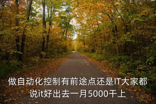 做自動(dòng)化控制有前途點(diǎn)還是IT大家都說it好出去一月5000干上