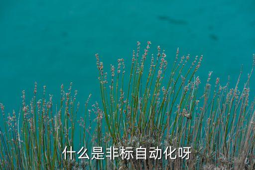 自動(dòng)化非標(biāo)是什么意思，什么是非標(biāo)自動(dòng)化