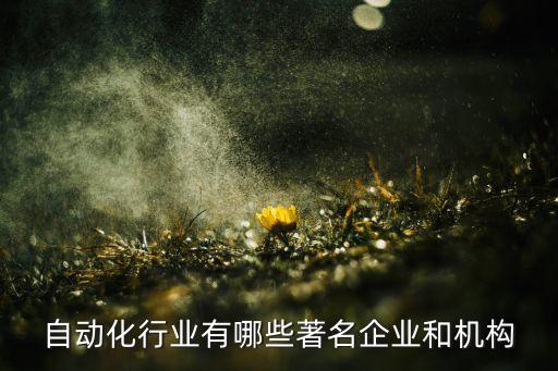 自動(dòng)化行業(yè)有哪些著名企業(yè)和機(jī)構(gòu)