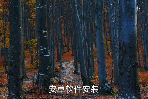 安卓軟件安裝