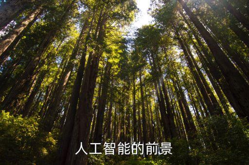 人工智能的前景