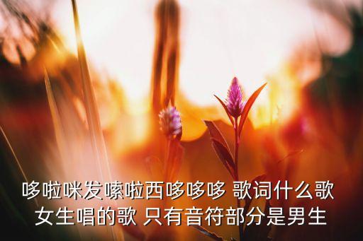 哆啦咪發(fā)嗦拉稀音符，哆掠咪發(fā)唆拉的符號