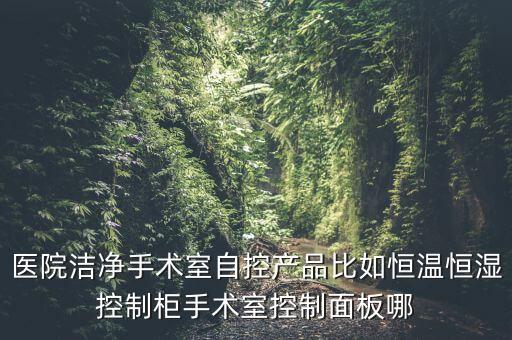 醫(yī)院潔凈手術室自控產(chǎn)品比如恒溫恒濕控制柜手術室控制面板哪
