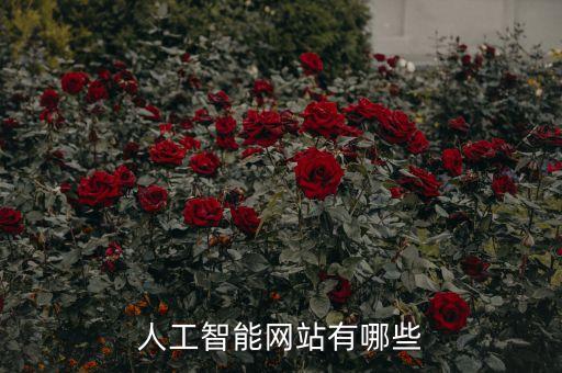 人工智能教學(xué)平臺(tái)官網(wǎng)，Ai學(xué)習(xí)網(wǎng)站