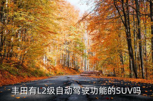 l2自動駕駛都有哪些車輛，哪些車可以自動駕駛