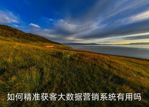 大數(shù)據(jù)營銷獲客系統(tǒng)，大數(shù)據(jù)精準獲客營銷