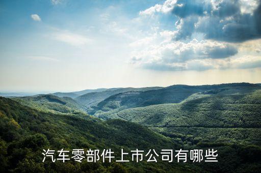 汽車零部件上市公司龍頭股票，汽車零部件上市公司有哪些