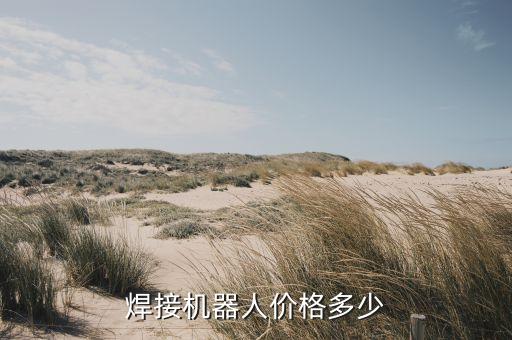 焊接機(jī)器人價(jià)格多少