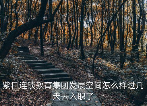 紫日連鎖教育集團(tuán)發(fā)展空間怎么樣過幾天去入職了