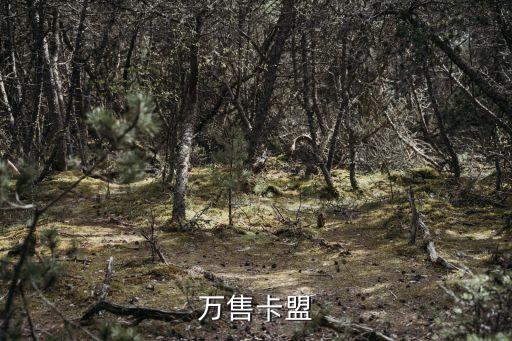 萬寶卡盟登錄平臺，萬寶卡盟域名是什么